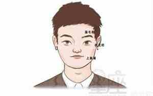圆脸尖下巴男人面相图片