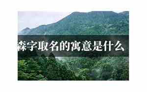 森字取名寓意及含义男孩子
