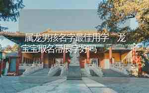 辰字取名好吗男孩