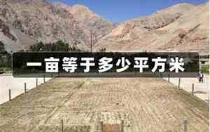 一亩多少平方米的面积