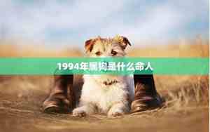 1994属狗是什么命金木水火土属性