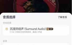 SQ和HQ哪个音质好