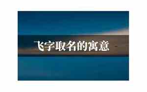 飞字取名的寓意