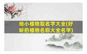 给植物取名字带有寓意
