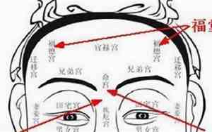 古代面相图