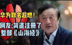 华为取名mate的含义