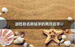 胡字取名男孩名字大全