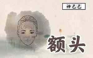 鸟的面相与命运分析视频