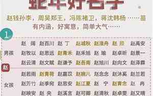 给车取名字霸气