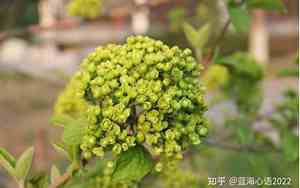得到老板的信任句子简短