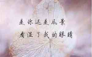 冷漠的说说句子搞笑