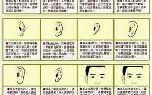 面相耳朵与命运图解 男