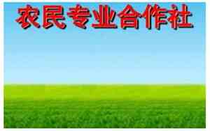 农村合作社取名怎么取