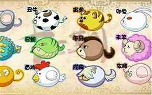 生肖取名字大全书籍