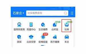 手机上怎么查社保缴费情况