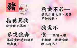 狗彘不食的意思