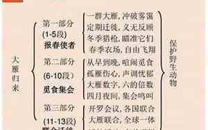 大雁归来思维导图七年级