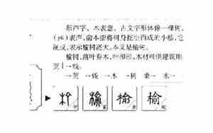 榆字取名女孩名字寓意