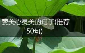 赞美心灵美的句子10字以内