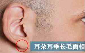 耳垂长毛的面相女人命运