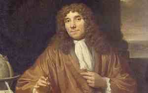 列文虎克什么意思网络用语