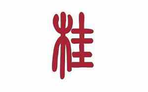 姓桂取名男