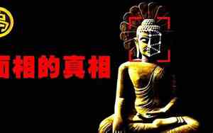面相里藏着你的命运是什么