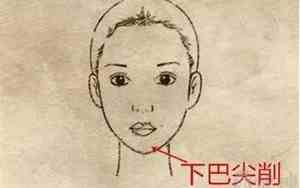 仙女的双下巴