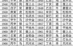 1998年五行属什么的是什么命