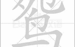 鸳鸯字笔顺