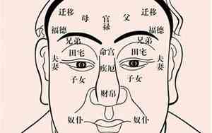 总裁的风水宝妻全文免费阅读