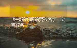 植姓取名男孩