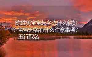 陈姓男宝宝取名字寓意