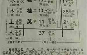 金氏取名大全男孩名字