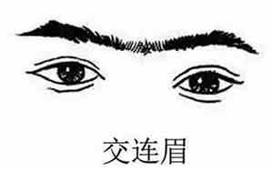 面相学连眉命运好不好