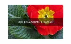形容植物散发香味的句子唯美
