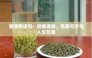 透过普洱看人生的句子说说