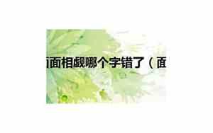 面面相觑的错别字