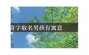 男孩奇字取名寓意