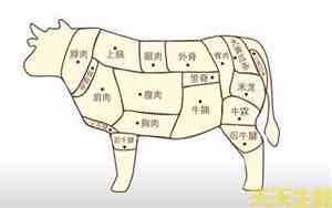 牛身上哪个部位的肉最贵?可以怎么吃?