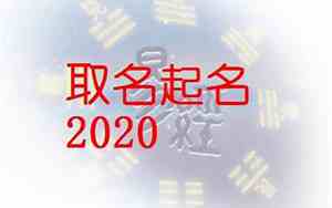 黄怎么取名字好听属猪