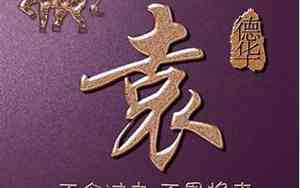 袁姓取名字大全男孩