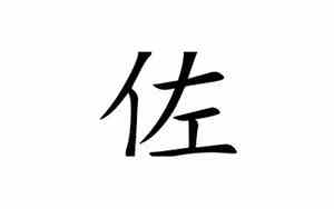 佐的意思是什么