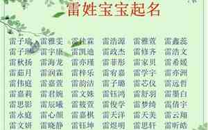 雷取名字大全男孩五行不缺
