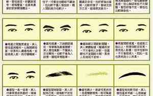 女人眉毛不高的面相图解