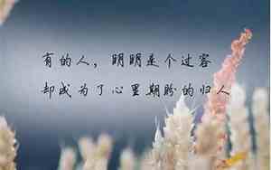 形容朋友很好的话