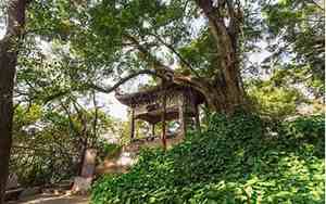 于山风景区