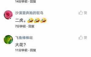 狗蛋这个名字有多好听