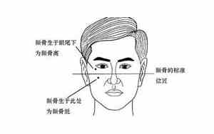 颧骨很低的人面相