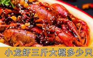 三斤小龙虾有多少只4-6钱